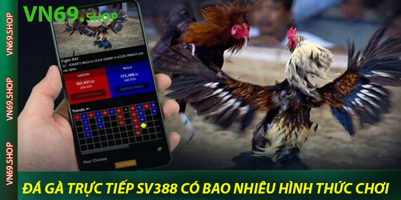 Đá gà trực tiếp Sv388 có bao nhiêu hình thức chơi?
