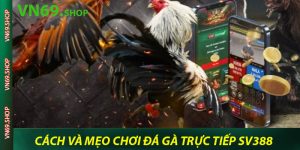 Khám phá các cách và mẹo chơi đá gà trực tiếp Sv388