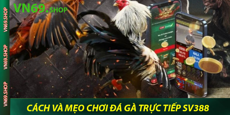 Khám phá các cách và mẹo chơi đá gà trực tiếp Sv388